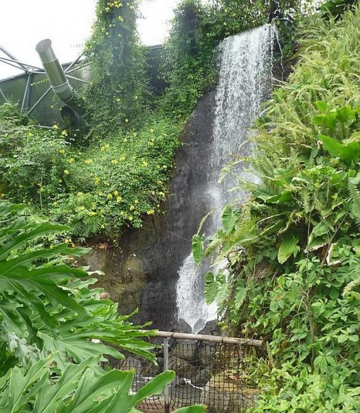 The Eden Project.