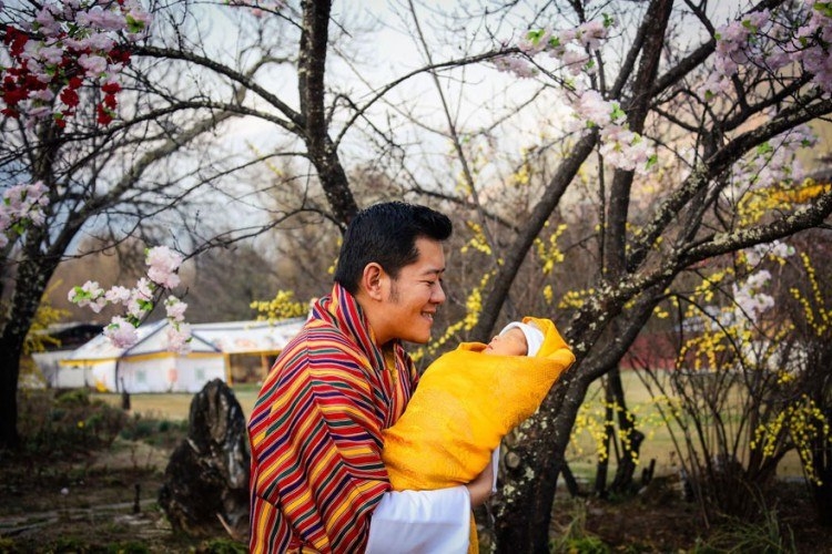 108 тысяч деревьев высадили в честь рождения принца в Гималаях