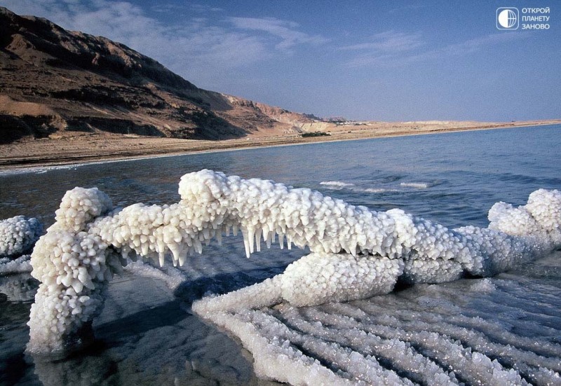Солевые образования причудливой формы на Мертвом море
