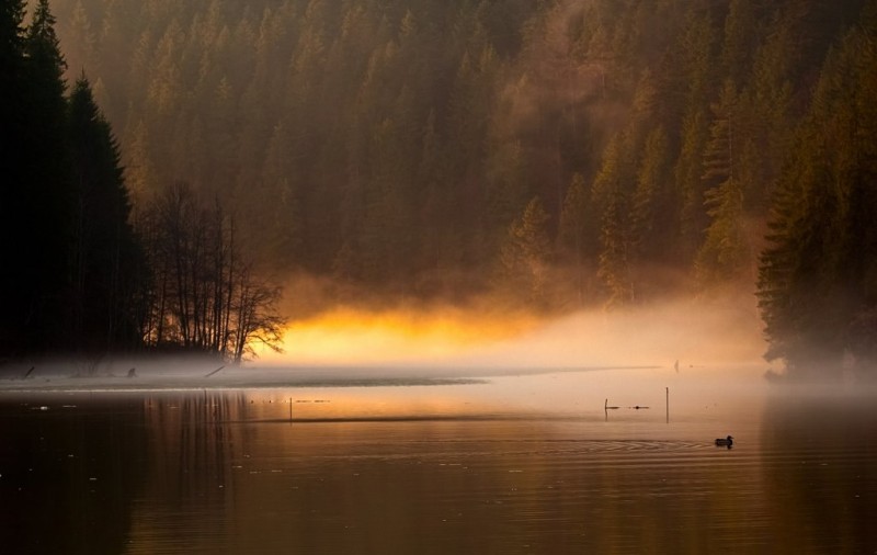 Пейзажи Румынии от фотографа Elena Simona Craciun