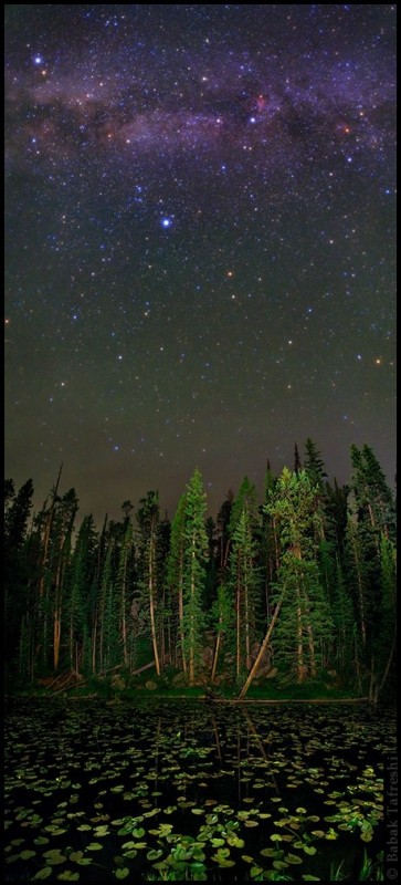 Млечный Путь над национальным парком Йеллоустоун, штат Вайоминг, США.