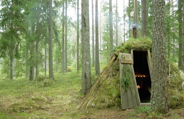 Возможность пожить в маленьких уютных домиках посреди шведского леса