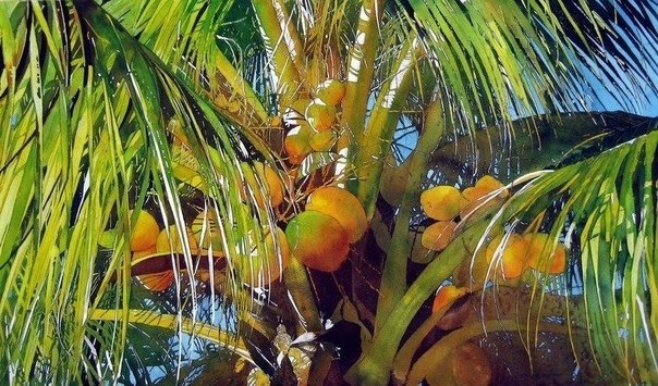 Сочные тропические акварели художника Jaimie Cordero