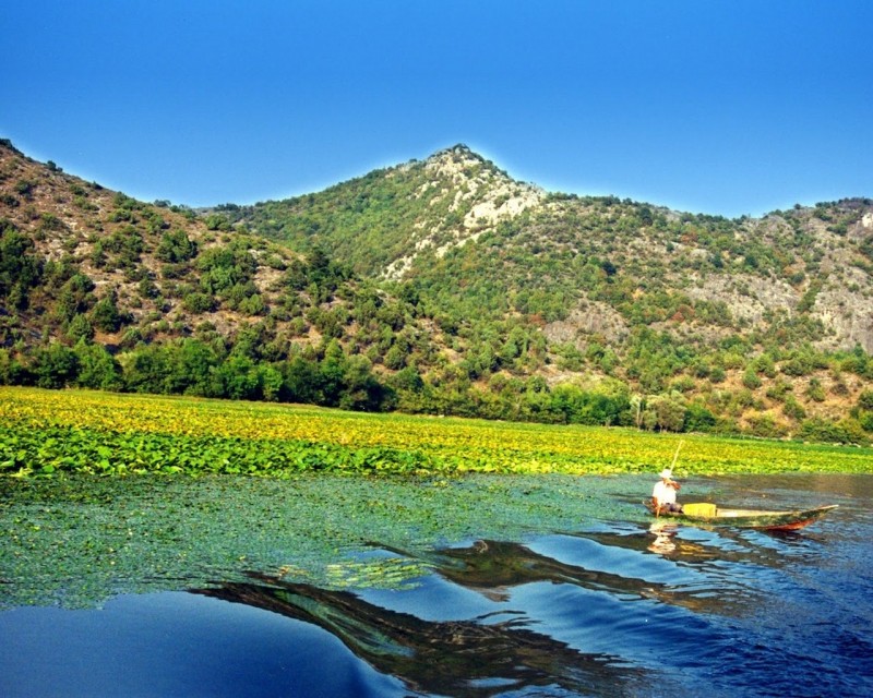 Скадарское озеро - жемчужина Черногории