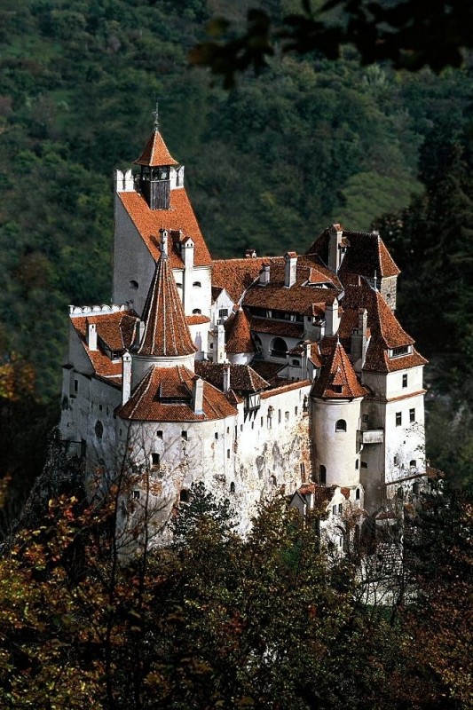Знаменитый замок графа Дракулы выставлен на аукцион