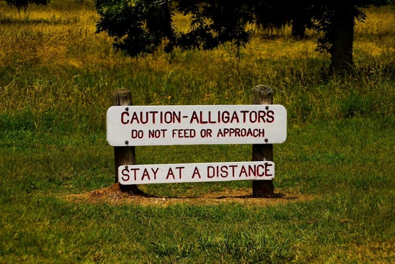 Парк аллигаторов, Хьюстон, США