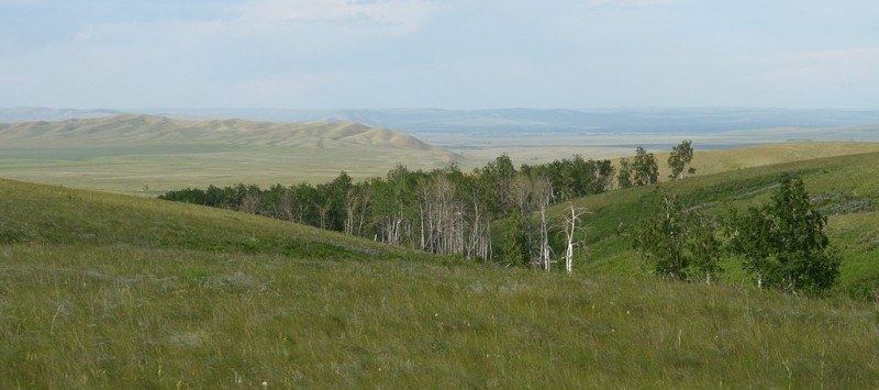 В степях Южного Урала, Россия, Оренбургская область