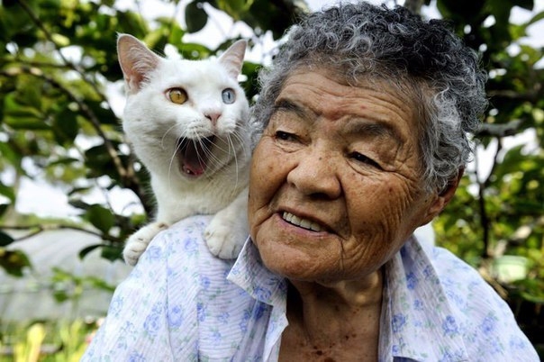 Неразлучные друзья: бабушка и кот