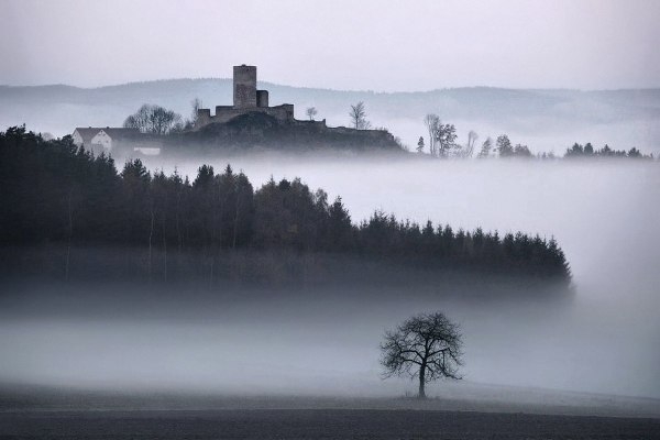 Серия фотографий «Родина братьев Гримм»