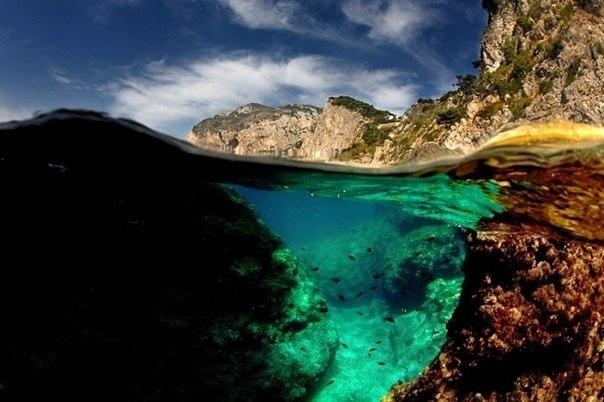 Фотографии на грани: надводный и подводный мир в одном снимке. Фотографии на грани: надводный и подводный мир в одном снимке.