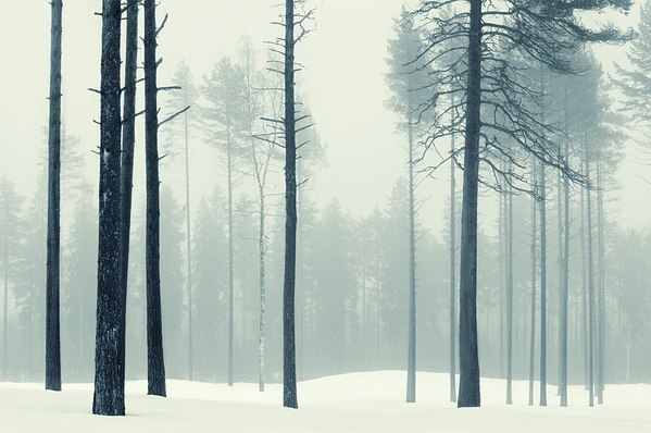 Красивые зимние пейзажи Mikko Lagerstedt