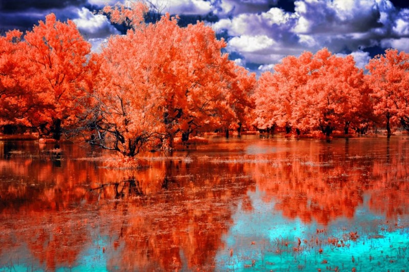 Потрясающие инфракрасные фотографий от Гелиоса Спада