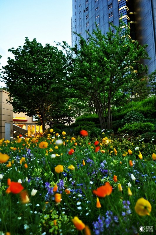 Цветущая крыша Namba Parks в Осаке Цветущая крыша Namba Parks в Осаке