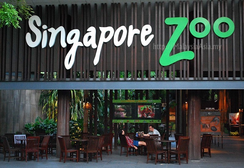 Сингапур - животные вне клеток