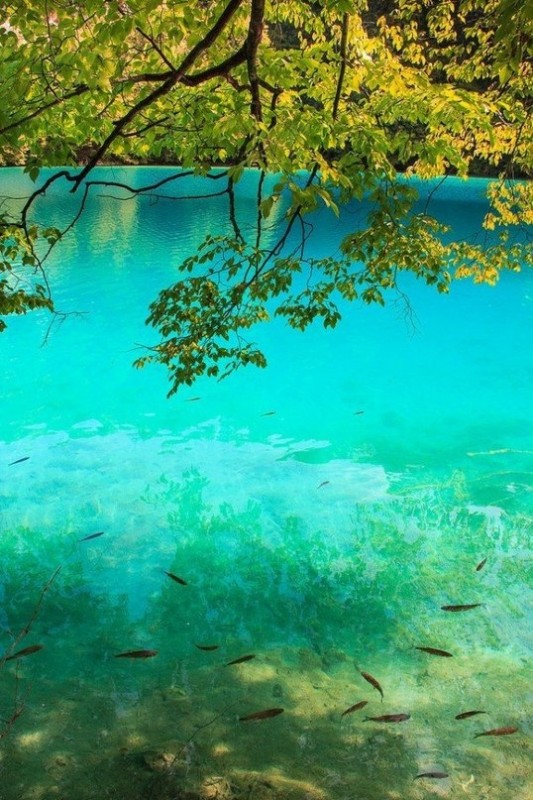 Плитвицкие озера, Хорватия.