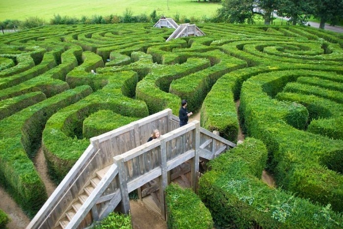 Longleat Hedge Maze: самый длинный в своём роде лабиринт в мире