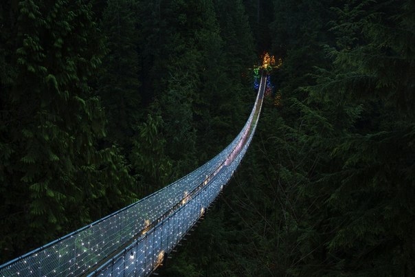 Подвесной мост в Канаде: прогулка над елями