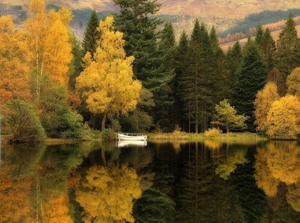 Шотландская осень от  фотографа Роджера Меррифилда