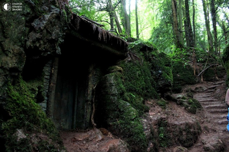 Puzzlewood - загадочный лес Puzzlewood - загадочный лес