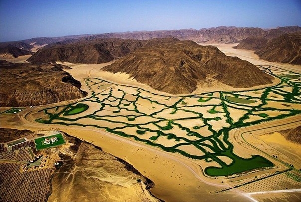 Земледелие в пустыне Вади Рам