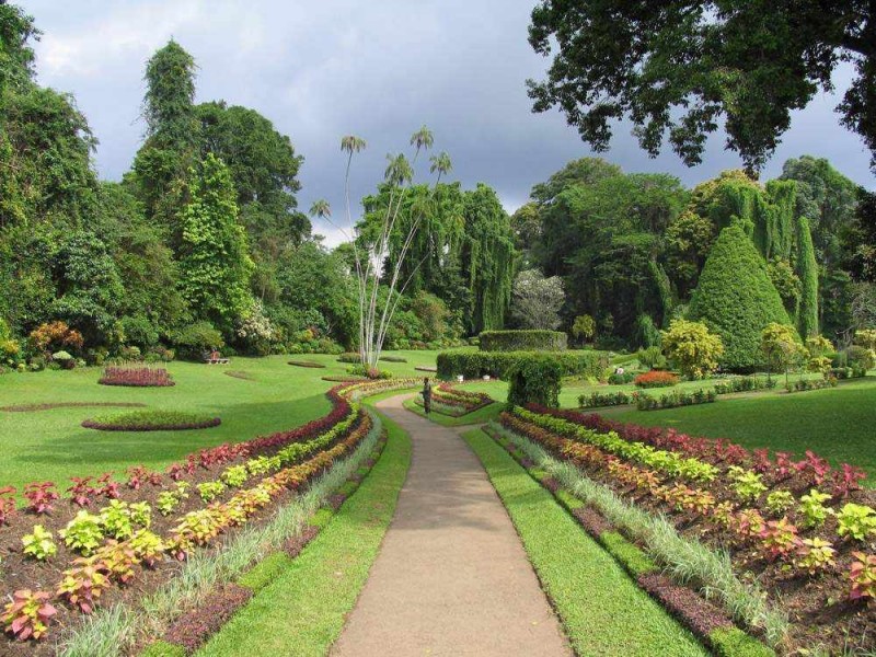 Королевский Ботанический Сад, Шри-Ланка