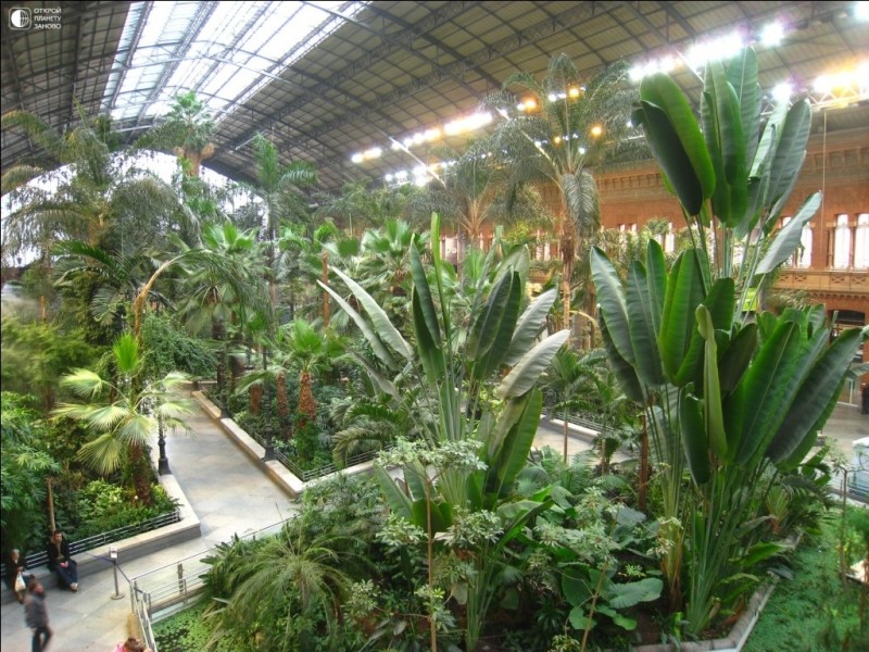 Ботанический сад вокзала Аточа