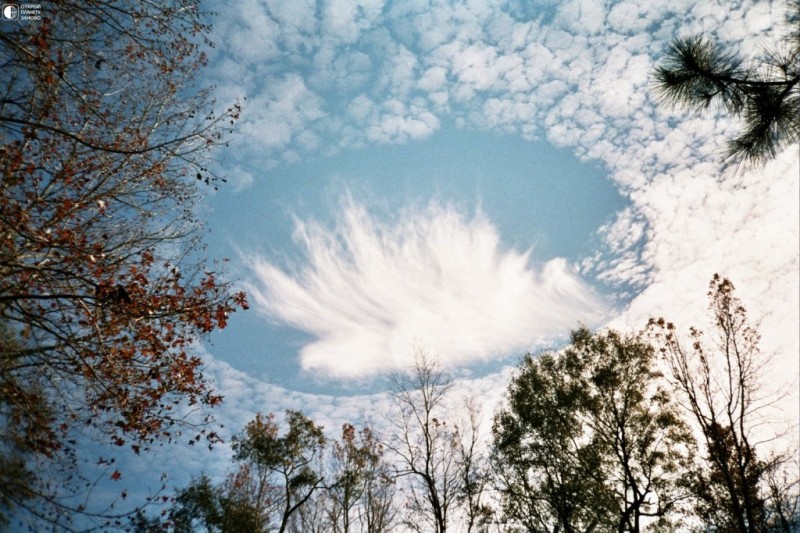 Эффект Fallstreak в перисто-кучевых облаках