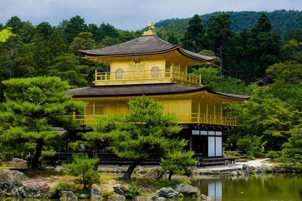 Золотой павильон в Храме оленьего сада