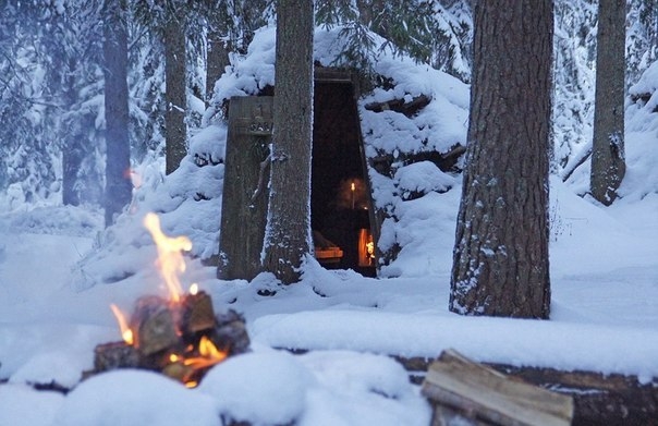 Возможность пожить в маленьких уютных домиках посреди шведского леса