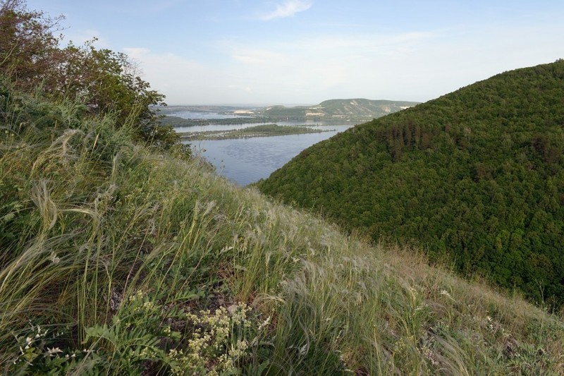 Самарская Лука.