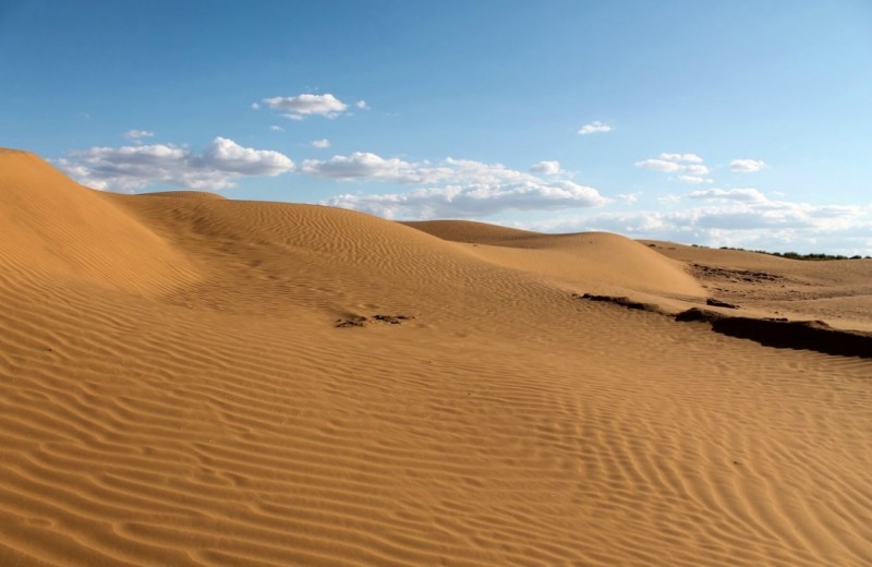 Песчаные дюны в Калмыкии.