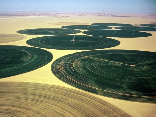 Земледелие в пустыне Вади Рам