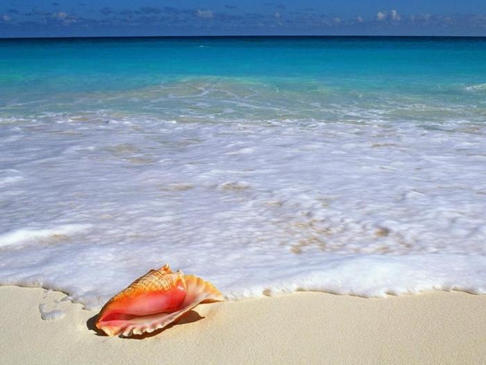 Красивейшие фотографии Карибского моря
