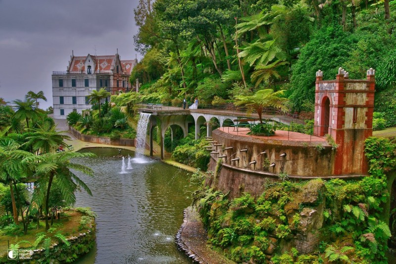Тропический сад дворца Монте