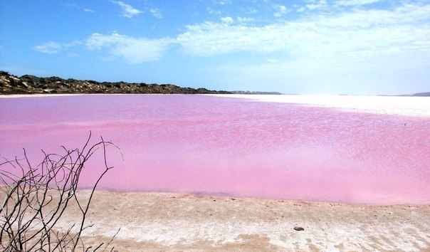 Озеро Хиллер — самое необычное озеро в Австралии, главной особенностью которого является яркий розов