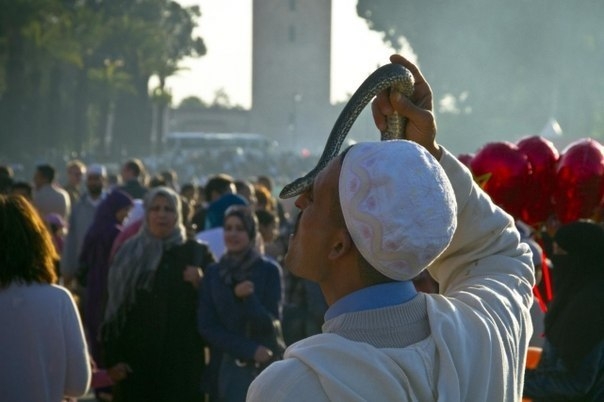10 вещей, которые нужно сделать в Марокко