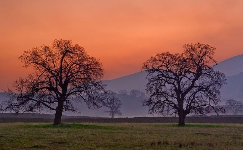 Пейзажи Южной и Центральной Калифорнии от Mark Geitsweite