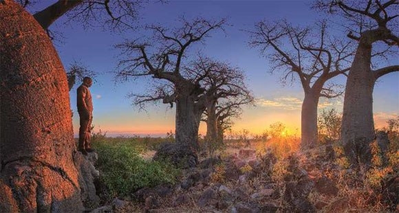 Ботсвана: лучшие закаты в Африке