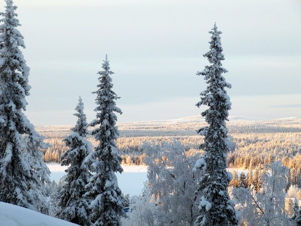 Лучший в Финляндии горнолыжный курорт Рука