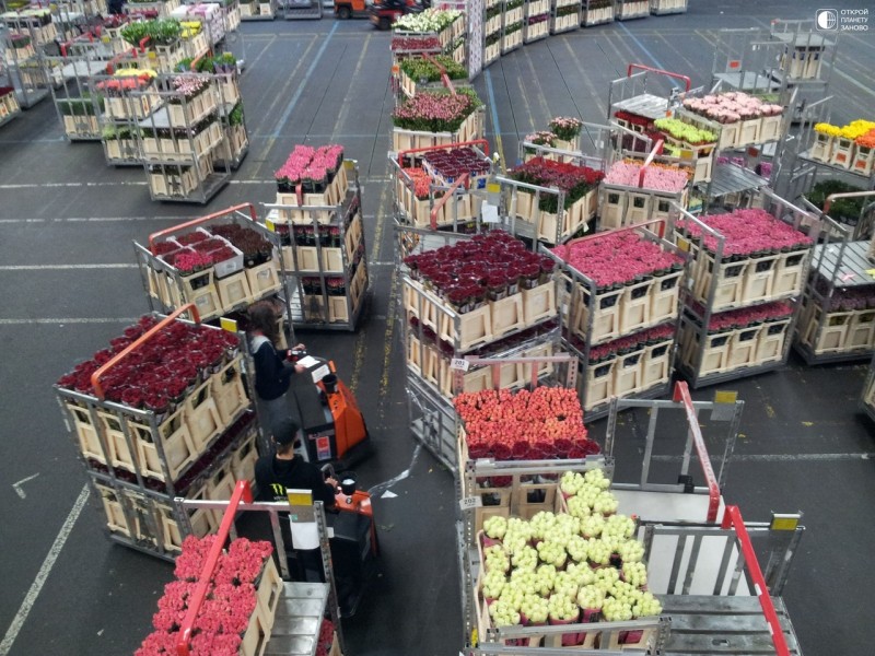 Цветочная биржа в Алсмере