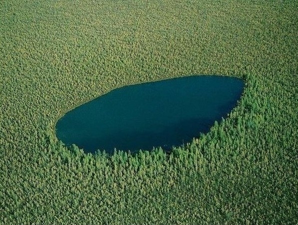 Лесное озеро, место не тронутое человеком.