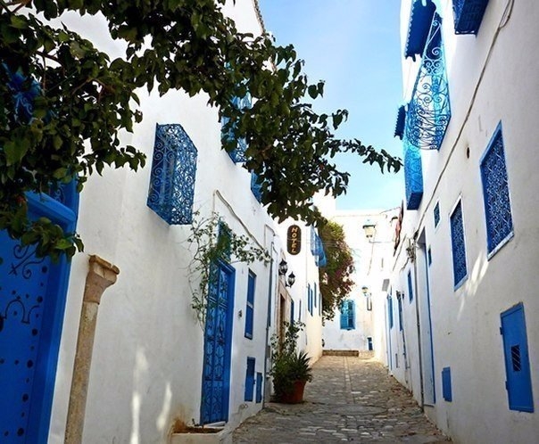 Сиди Боу Саид - жемчужина Туниса