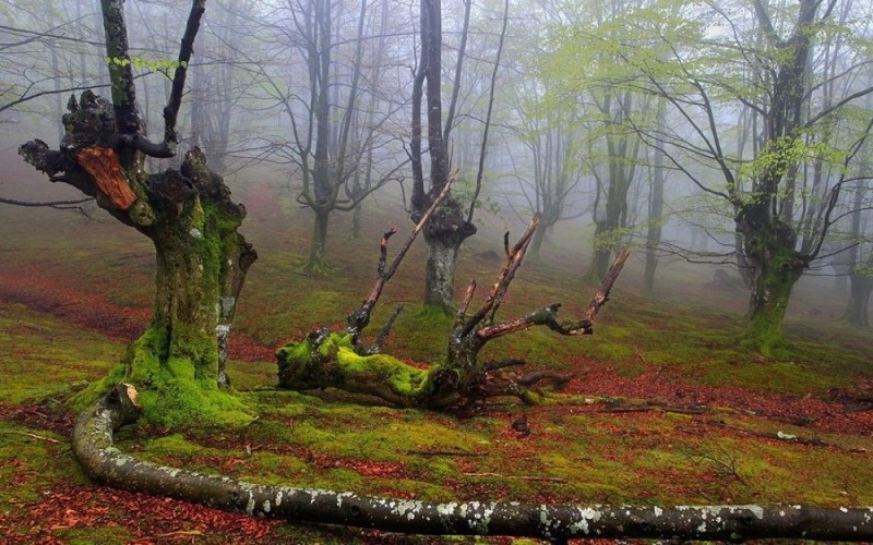Природный парк Горбеа в Испании