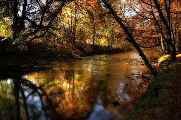 Шотландская осень от  фотографа Роджера Меррифилда