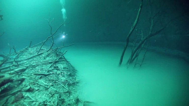 Сенот Анжелита. Мистическая подводная река в Мексике