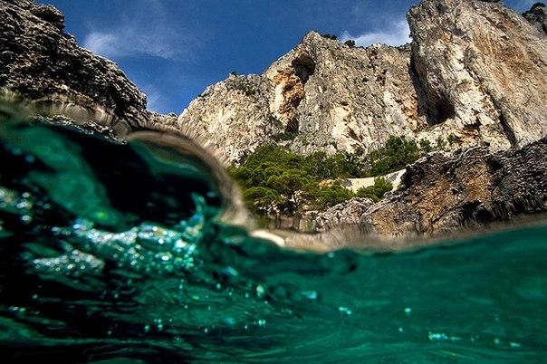 Фотографии на грани: надводный и подводный мир в одном снимке.