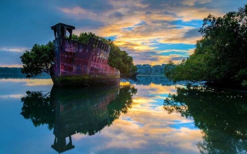 Заброшенное судно SS Ayrfield - плавающий мангровый лес