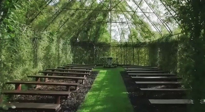 Церковь, выращенная из деревьев