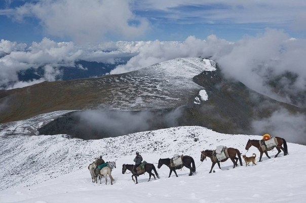 Алтайские пейзажи.