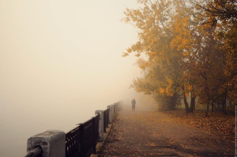 Красивая, окутанная туманом набережная в Воронеже